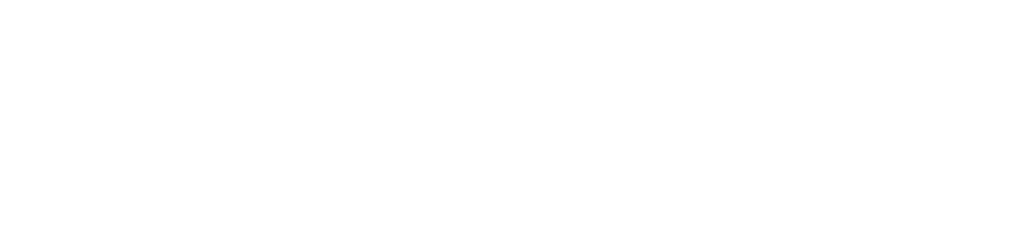 Bluestone PIM
